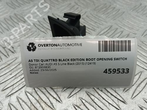 Boot lining AUDI A5 (8T3) 2.0 TDI quattro | BP29680775I3 