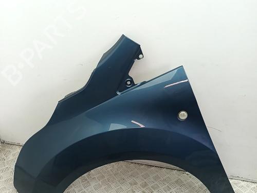 Left front fenders FORD TOURNEO CONNECT / GRAND TOURNEO CONNECT V408 MPV 1.5 EcoBlue | BP29761637C41
