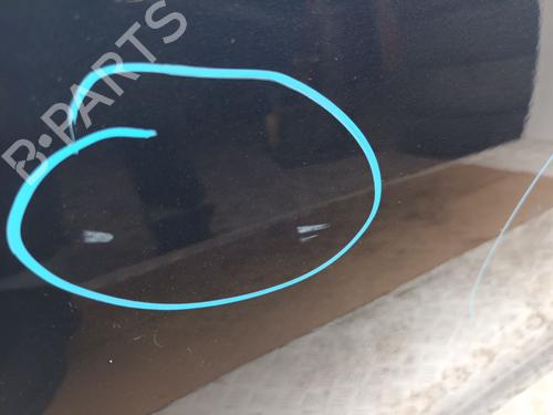 Left front door CITROËN C4 II (NC_) 1.6 HDi 90 | BP29664876C2