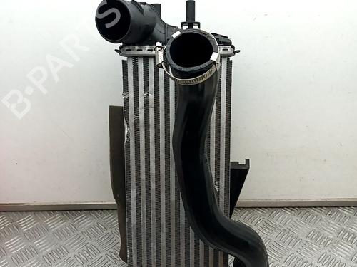 Intercooler FORD TOURNEO CONNECT / GRAND TOURNEO CONNECT V408 MPV 1.0 EcoBoost (100 hp) 29902666