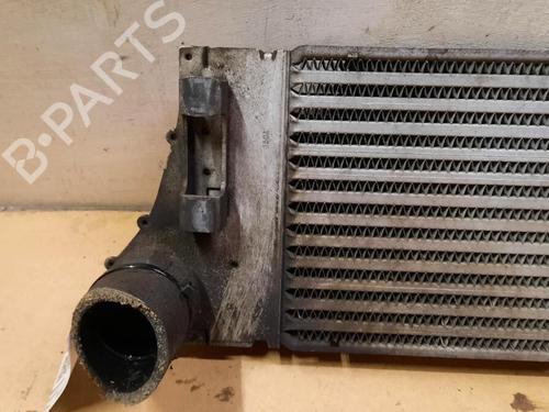 Intercooler RENAULT GRAND SCÉNIC II (JM0/1_) 1.9 dCi (JM0G, JM12, JM1G, JM2C) | BP29647915M30 