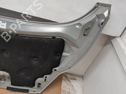 Hood FORD FIESTA VI Van 1.6 TDCi | BP29667219C1 