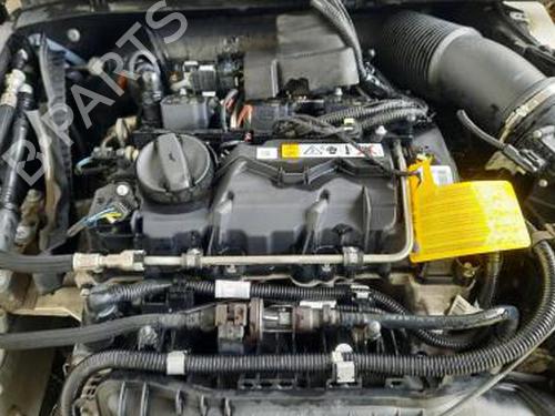 Fuel flap MINI MINI (F56) One First | BP29673025C131 