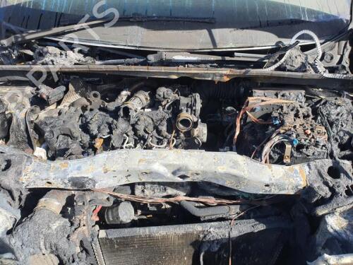 Rear left seatbelt MERCEDES-BENZ CITAN Mixto (Double Cabin) (W415) 109 CDI (415.603, 415.605) | BP29651146I29 