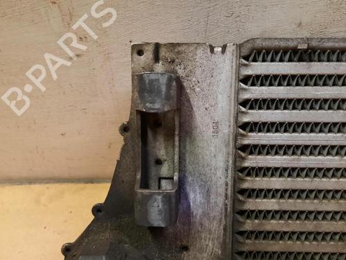 Intercooler RENAULT GRAND SCÉNIC II (JM0/1_) 1.9 dCi (JM0G, JM12, JM1G, JM2C) | BP29647915M30 