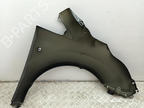 Left front fenders FORD TOURNEO CONNECT / GRAND TOURNEO CONNECT V408 MPV 1.0 EcoBoost | BP29761639C41 