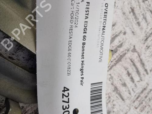 Hinge/Door check strap FORD FIESTA VI (CB1, CCN) 1.25 | BP29667059C146