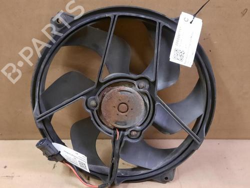 Koelfan PEUGEOT 307 (3A/C) 1.4 (75 hp) 29647972