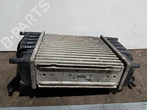 Intercooler RENAULT CLIO III (BR0/1, CR0/1) 1.2 16V (BR0P, CR0P) | BP29666521M30
