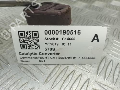 Catalyst MCLAREN 570S 3.8 | BP29649986M10