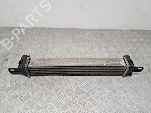 Intercooler VAUXHALL ZAFIRA Mk II (B) (A05) 1.8 | BP29680312M30