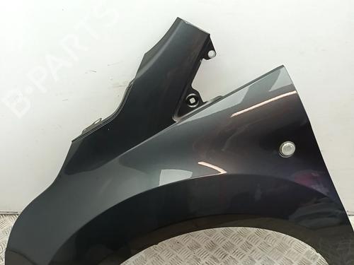 Left front fenders FORD TOURNEO CONNECT / GRAND TOURNEO CONNECT V408 MPV 1.0 EcoBoost | BP29761639C41 