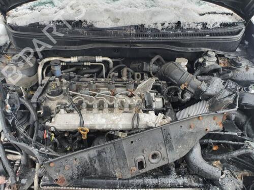 Front left seatbelt KIA RIO II (JB) 1.5 CRDi | BP29651565I26