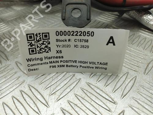 Battery BMW X6 (G06, F96) xDrive M 50 d | BP29650891E11 