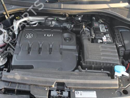 Høyre bak støtdemper VW TIGUAN (AD1, AX1) 2.0 TDI 4motion | BP29672002M19 