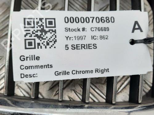 Grille BMW 5 (E39) 535 i | BP29647525C40