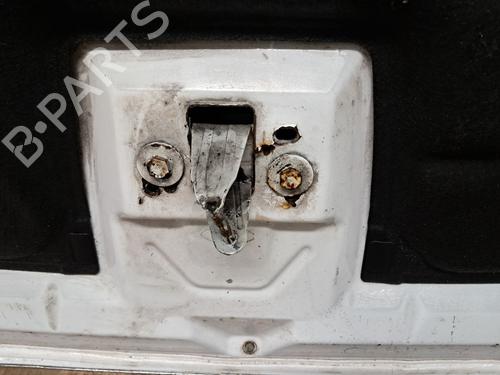 Hood FORD C-MAX II (DXA/CB7, DXA/CEU) 1.6 TDCi | BP30917225C1 