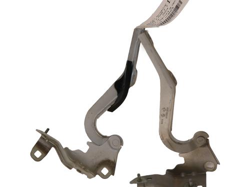 Used Hinge/Door check strap RENAULT LAGUNA III (BT0/1) 2.0 dCi (BT07, BT0J, BT14, BT1A, BT1S) (131 hp) 29007258