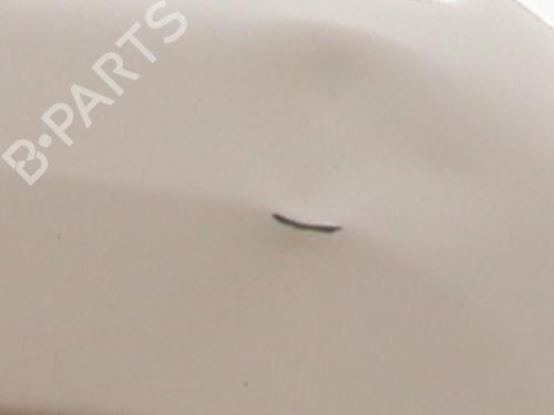 Used Tailgate Tailgate PEUGEOT PARTNER Tepee 1.6 HDi (112 hp) 34173439 34173439