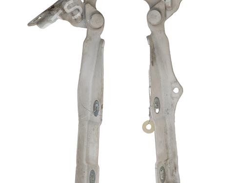hingedoor-check-strap-citroen-ds3-sa_-2009-2010-2011-2012-2013-2014-2015-2016-34524448 main image
