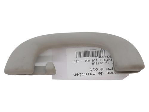 Used Interior roof handle PEUGEOT 3008 I MPV (0U_) 1.6 HDi (109 hp) 25738286