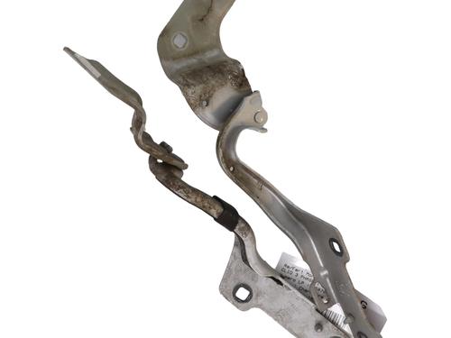 Used Hinge/Door check strap Hinge/Door check strap RENAULT CLIO III (BR0/1, CR0/1) 1.2 16V (BR0P, CR0P) (101 hp) 30861498 30861498