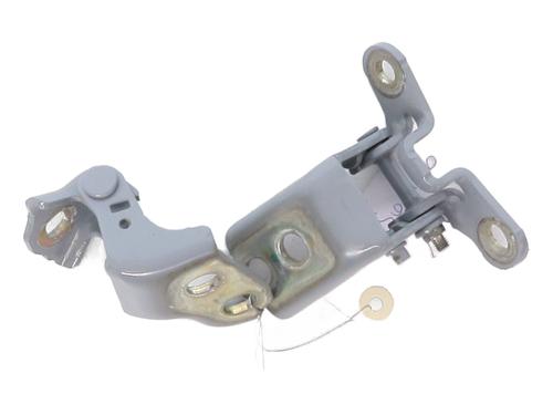 Hinge/Door check strap RENAULT CAPTUR II (HF_)  | BP28089714C146 