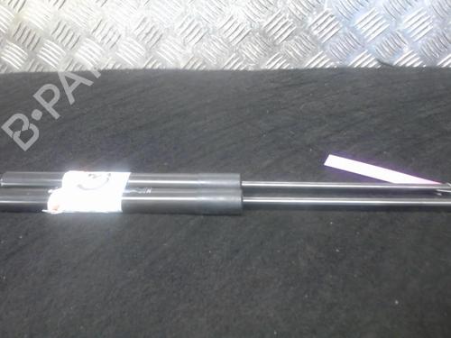 Used Hood lift support RENAULT MEGANE IV Hatchback (B9A/M/N_) 1.3 TCe 115 (B9N9) (116 hp) 23055914