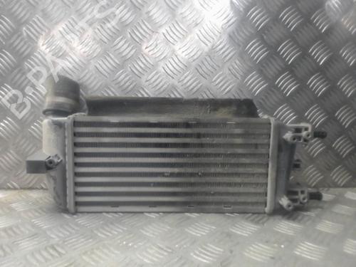Used Intercooler FIAT 500 (312_) 1.3 D Multijet (312AXB1A) (75 hp) 23056026
