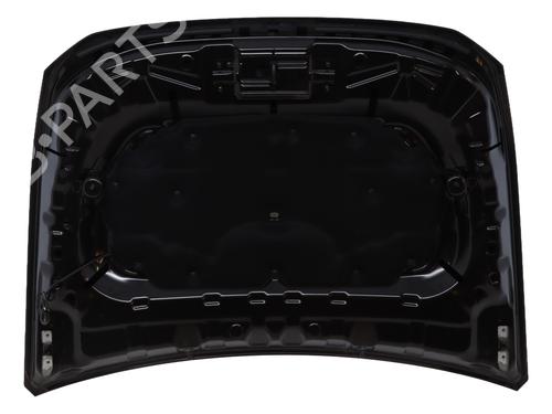 Hood DACIA DUSTER (PYM_, PYN_)  | BP28330123C1 