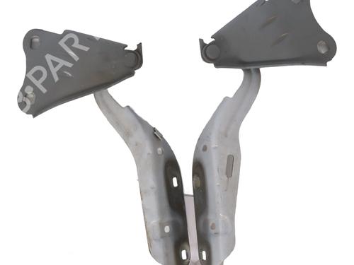 Hinge/Door check strap RENAULT TWINGO II (CN0_) 1.5 dCi 75 | BP29188017C146 