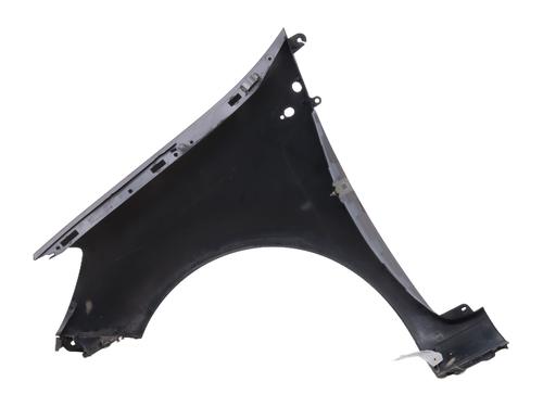 Right front fenders RENAULT CLIO III (BR0/1, CR0/1) 1.2 16V Hi-Flex (BR1U, CR1U) | BP29324035C42 