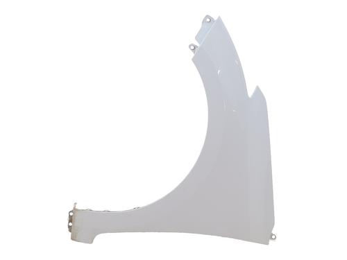 Used Left front fenders HYUNDAI i20 II (GB, IB) 1.2 (84 hp) 32171250