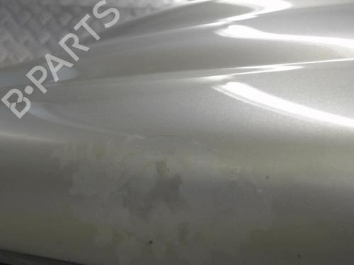 Used Left front fenders RENAULT MEGANE II Coupé-Cabriolet (EM0/1_) 1.9 dCi (120 hp) 23060362