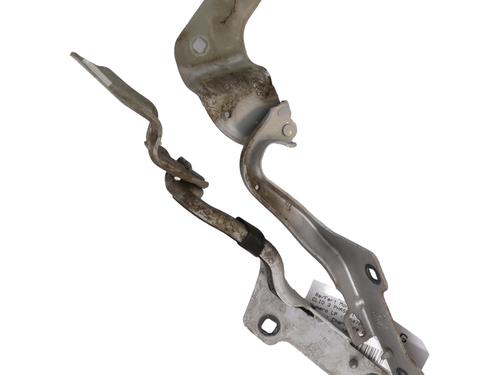 hingedoor-check-strap-renault-clio-iii-br01-cr01-2005-2006-2007-2008-2009-2010-2011-2012-2013-2014-30861498 main image