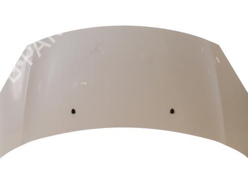 hood-citroen-c3-ii-sc_-2009-27606019 main image