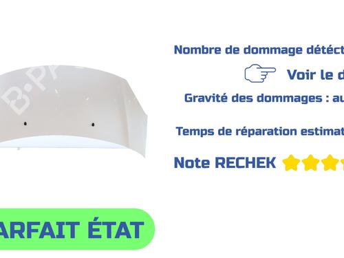 Capot Capot CITROËN C3 II (SC_) 1.6 HDi (92 hp) 39662806 39662806