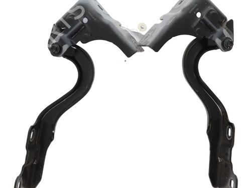 Hinge/Door check strap RENAULT SCENIC E-TECH PHASE I EV87 654019780R