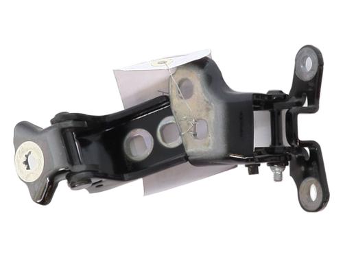 Hinge/Door check strap RENAULT SCENIC E-TECH PHASE I EV87 | BP28332151C146 