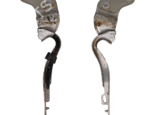 Used Hinge/Door check strap RENAULT CLIO III (BR0/1, CR0/1) 1.5 dCi (C/BR0G, C/BR1G) (68 hp) 29281548
