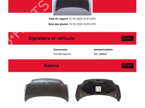 Hood FIAT 500 (312_) 1.2 (312AXA1A) | BP29998036C1
