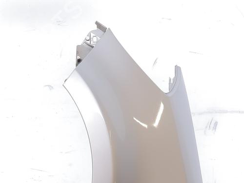 left-front-fenders-renault-clio-iii-br01-cr01-2005-2006-2007-2008-2009-2010-2011-2012-2013-2014-38331999 main image