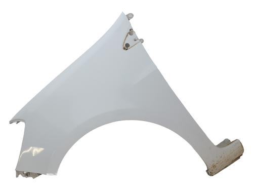 Used Left front fenders RENAULT CLIO III (BR0/1, CR0/1) 1.5 dCi (75 hp) 23835400