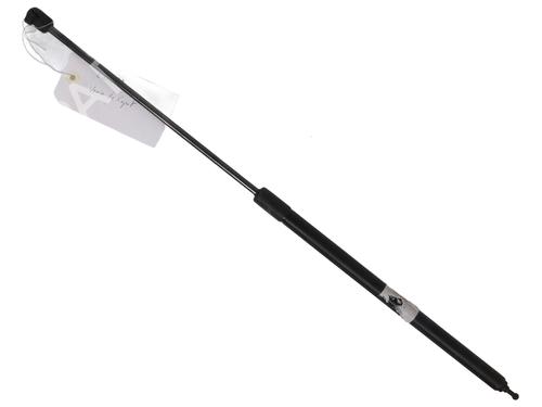 hood-lift-support-renault-megane-iii-coupe-dz01_-2008-2009-2010-2011-2012-2013-2014-2015-2016-31216677 main image