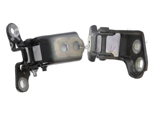 Hinge/Door check strap RENAULT SCENIC E-TECH PHASE I EV87 | BP28332154C146 