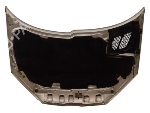 Used Hood Hood PEUGEOT 206 CC (2D) 1.6 16V (2DNFUF, 2DNFUR) (109 hp) 33417354 33417354