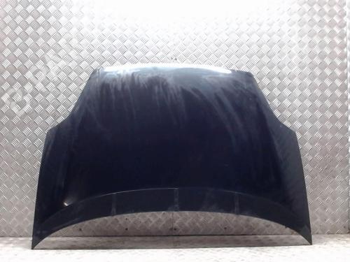 Used Hood FIAT GRANDE PUNTO (199_) 1.3 D Multijet (75 hp) 23056977