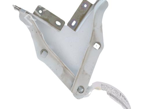 hingedoor-check-strap-citroen-berlingo-box-bodympv-b9-2008-40012338 main image
