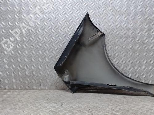 Left front fenders MERCEDES-BENZ A-CLASS (W169) A 160 (169.031, 169.331) | BP23056812C41 