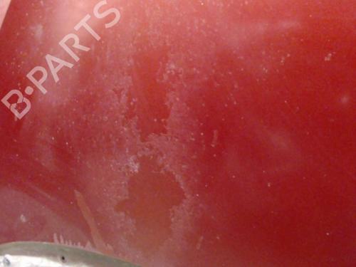 Used Hood SEAT ALTEA (5P1) 1.9 TDI (105 hp) 23056038